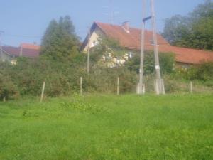 Vinogradništvo Peter Jamšek 2